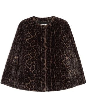 Apparis Sloan Leopard-Print Cape - Black