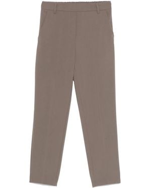 Blanca Vita Tapered Pants - Gray