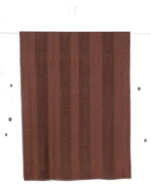 Twinset Logo-Print Striped Scarf - Brown