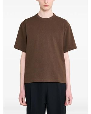 Portal Root T-Shirt - Brown