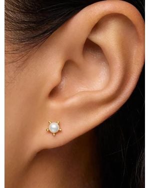 Tous 18Kt Garden Gelbgoldohrringe Mit Perle - Schwarz