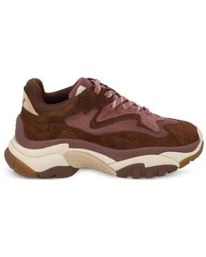 Ash Addict Panelled Sneakers - Brown