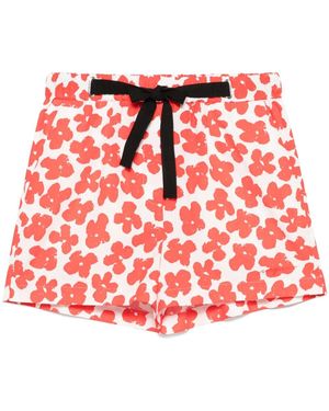 MSGM Floral-Print Shorts - Red