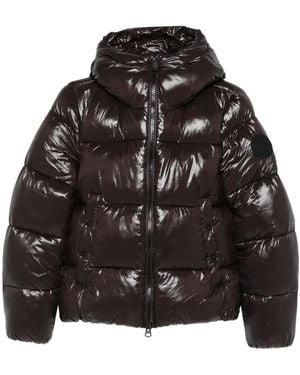 Save The Duck Hooded Puffer Jacket - Black