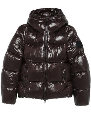 Save The Duck Hooded Puffer Jacket - Black