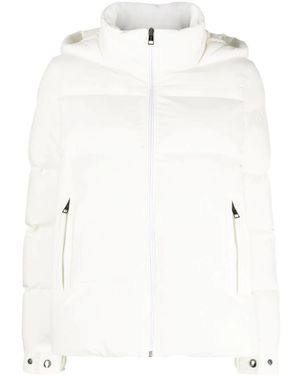 Kiton フーデッド パデッドジャケット - ホワイト