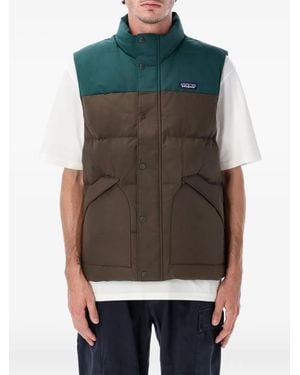 Patagonia Downdrift padded gilet - Grün