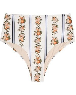 Agua Bendita Floral-Print Striped Bikini Bottom - White