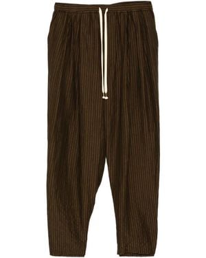 CALMLENCE Striped Pants - Green