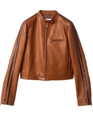 レディース Miu Miu ジャケットが¥181,500〜 | Lyst