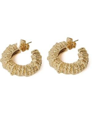 Paola Sighinolfi Half-Hoop Golden Earrings - Metallic
