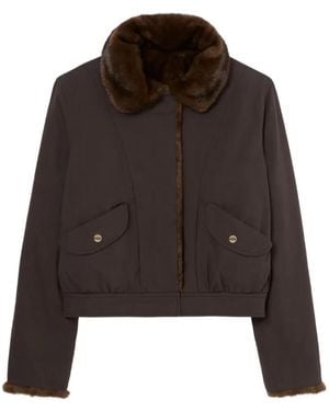 Claudie Pierlot Short Reversible Nylon Parka - Brown