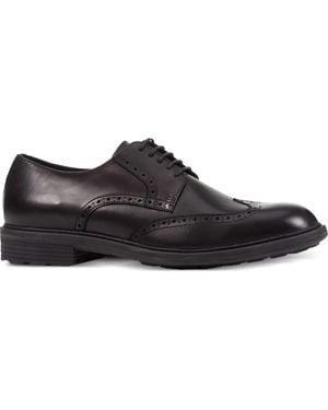 Geox Walk Pleasure Brogue Shoes - Brown