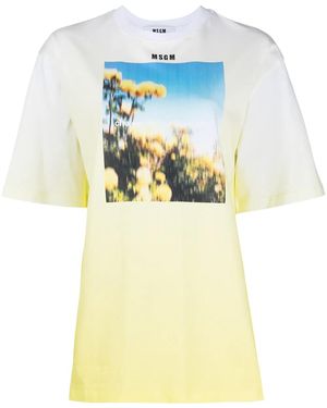 MSGM Graphic Logo-Print T-Shirt - Yellow