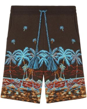 Alanui Shorts The Tale Of A Hawaiian - Blu