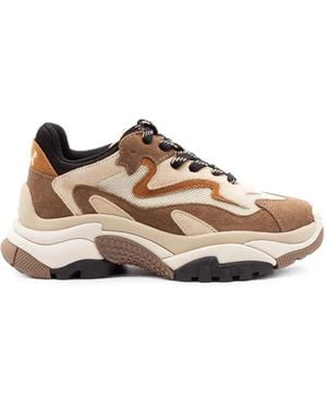 Ash Addict 02 Panelled Chunky Sneakers - Brown