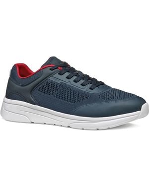 Geox Klaiver Panelled Trainers - Blue