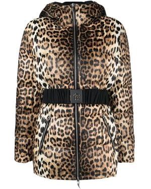 Roberto Cavalli Leopard-Print Padded Jacket - Black