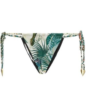 Roberto Cavalli Bikinihöschen Mit Schlangen-Print - Grün