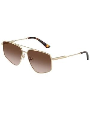 Jimmy Choo Sunglasses - Brown