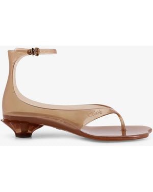 Chloé Tpu Jelly Sandals With Shell Heel - Brown