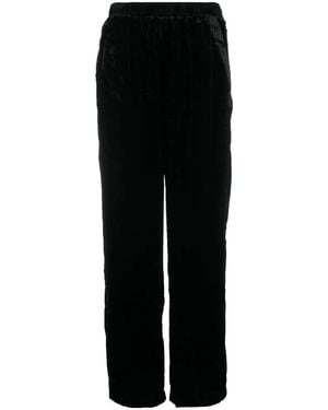 Gold Hawk Velvet Wide-Leg Trousers - Black