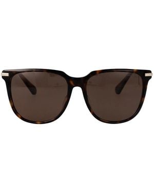 Swarovski Acetate Sunglasses - Brown