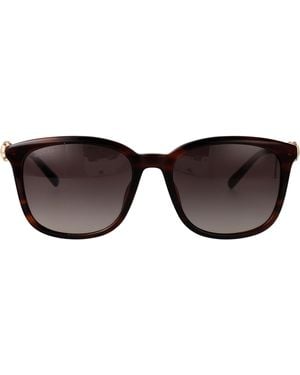 Gucci Havana-Havana- Acetate Sunglasses - Brown