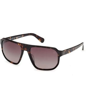 Timberland Tb00075 52H - Brown