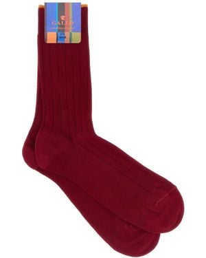 Gallo Calze - Red