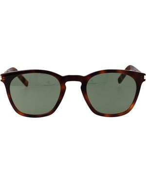 Saint Laurent Havana Havana Acetate Sunglasses - Green