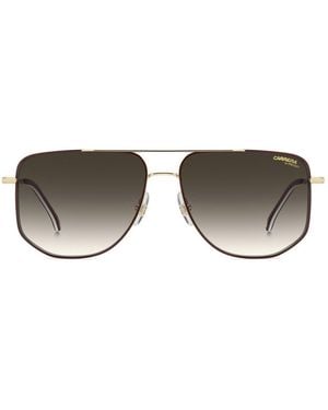 Carrera 355/S Noa(9K) - Brown