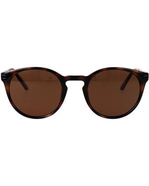 Calvin Klein Injected Sunglasses - Brown