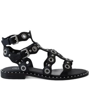 Ash Combo A:Soft Brasil C1 - Black