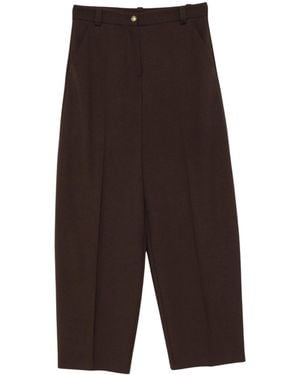 Pinko Balbino Pantalone Diagonale - Brown