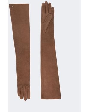 Max Mara Mxaazzurro Gloves - Brown