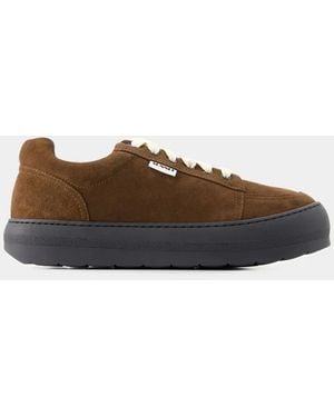 Sunnei Sneakers Dreamy - Brown