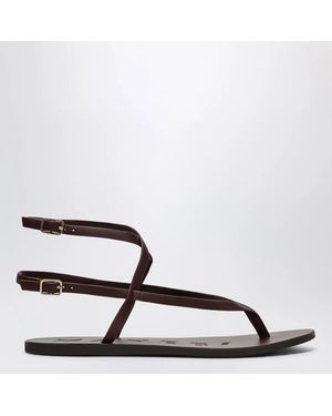 Manebí Thong Sandals - Brown