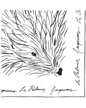 Jacquemus Le Foulard Herisson - White