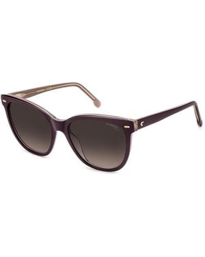 Carrera 3043/S 0T7(Ha) - Brown