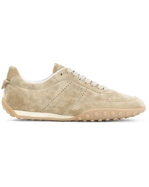 Tod's Cappuccino Suede Sneakers - Natural