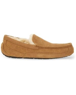 UGG Slip-On Loafer "Linscot" - Brown
