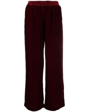 Gold Hawk Velvet Wide-Leg Trousers - Red