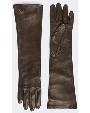 Max Mara Afidee Gloves - Brown