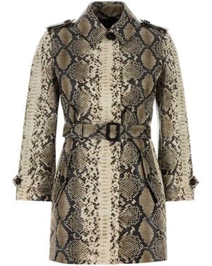 Burberry W:Stonehaven Pp:175469:C6084 - Multicolor