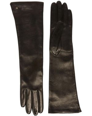 Max Mara Long Gloves Afidee - Black
