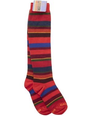 Gallo Cotton Long Sock - Red