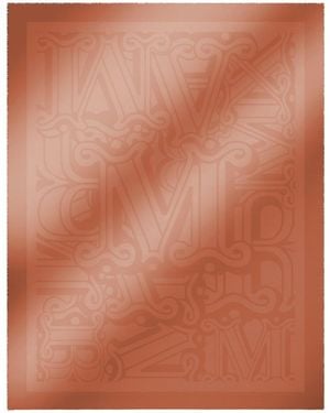 Max Mara Cotton Jacquard Shawl Scarf - Brown