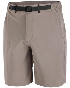 Salomon Wayfarer 2.0 Shorts - Grey