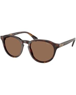 Polo Ralph Lauren Polo Ph4221 613773 - Brown